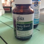 holybasil